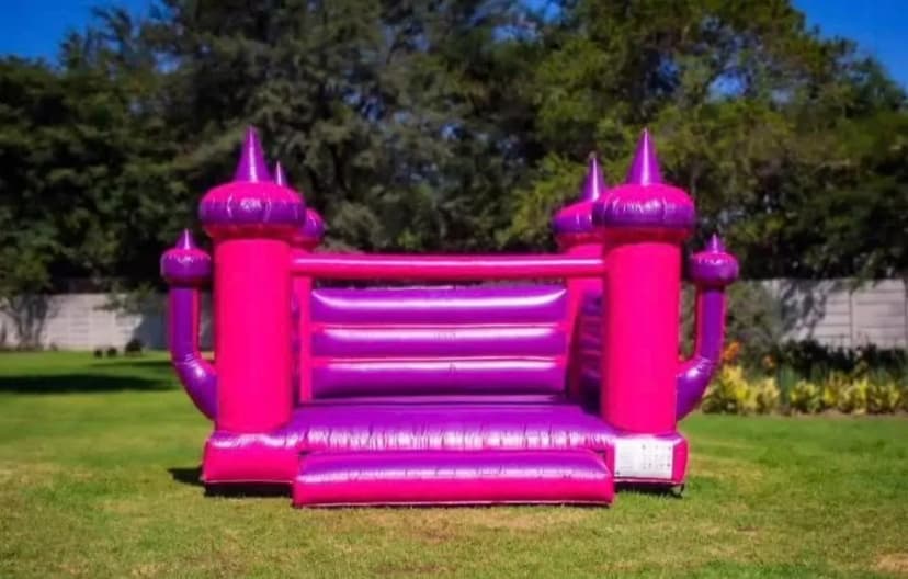 Pink Princess Jumping Castle